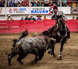 IMG-20170201-WA0081