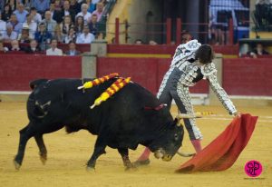 ROCA REY ZARAGOZA 2