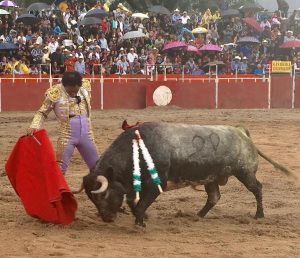 IMG-20180908-WA0008