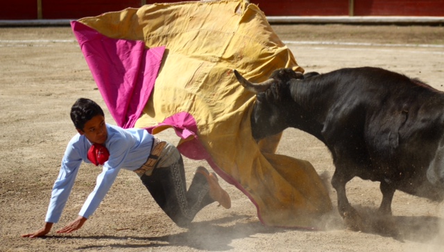 Momentos de la vacada de triunfadores en Tlaxcala…(Galería)