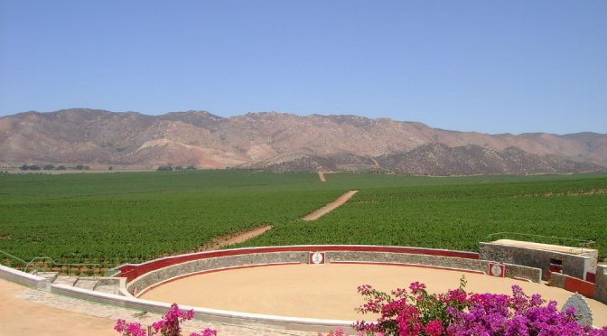 Vetan la plaza de toros Los Viñedos en Ensenada