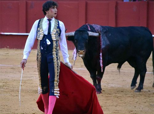 Roca Rey resulta herido en Málaga