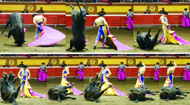Imagen destacada en la fiesta brava