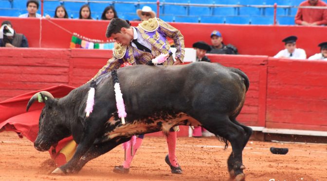 Aún hay camino que recorrer…(Fotos)