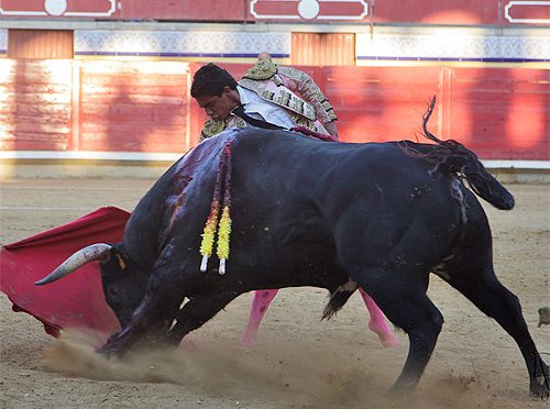 Digna actuación de Rivera en Vic Fezensac