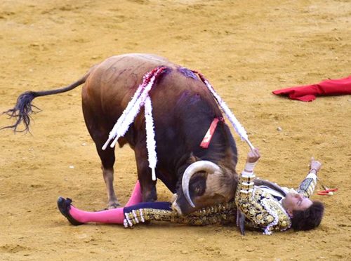 Roca Rey sufre de nueva cuenta conmoción cerebral