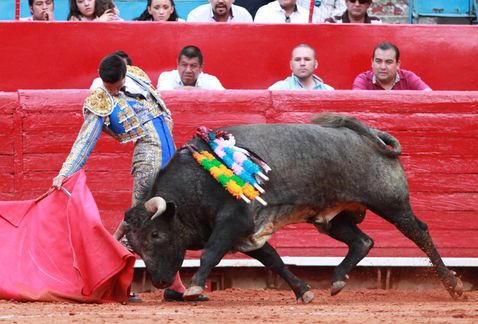 Sin “Buen Fin”… con la espada