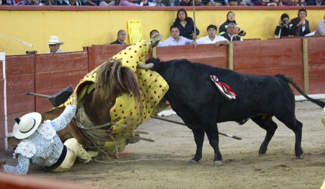 Corrida Navideña en la mirada de …Sergio Espinoza