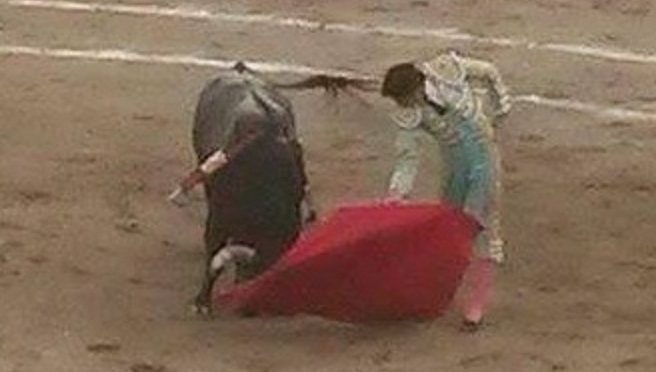 Despedida de Zotoluco en León, triunfa Adame tras cornada