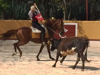 Diego López ensaya su tauromaquia en La Ceiba