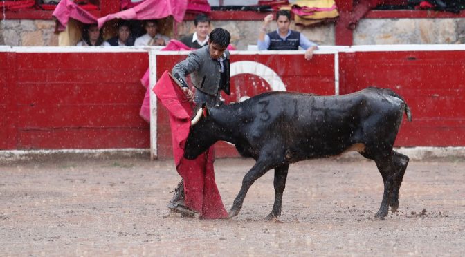 Todo un éxito la primera vacada en la monumental de Morelia