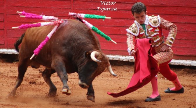 Fallos con el acero impiden corte de orejas en la México