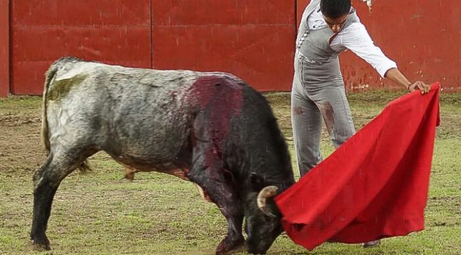 Antonio Romero vuelve al toro en Piedras Negras