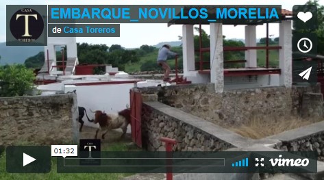 Embarque de los novillos para Morelia…(Video)