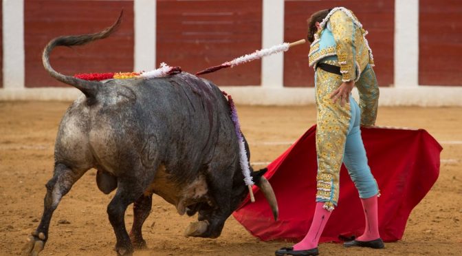 Sin trofeo la quinta novillada en Calasparra