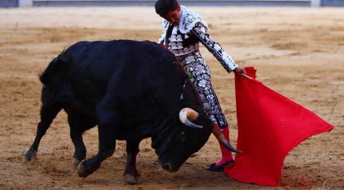Oreja para Román y vuelta para Joselito Adame en Madrid