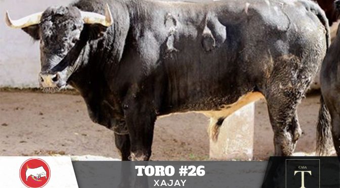 Los toros de Xajay para Pachuca…(Fotos)