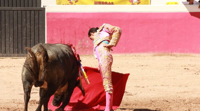 Calita triunfa en final de la feria del toro…(Foto)