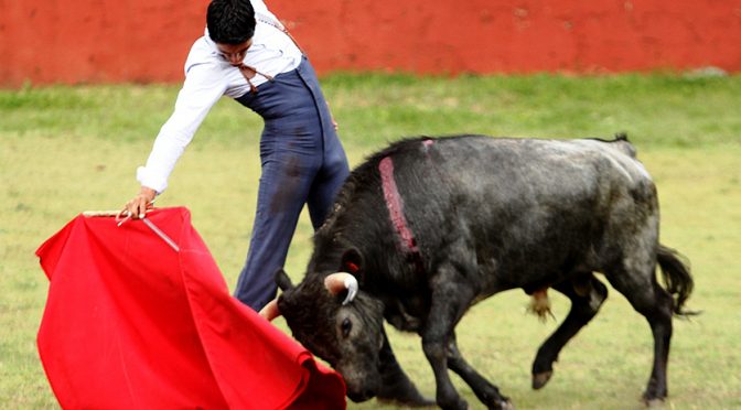 Sergio Flores a punto para reaparecer en su tierra