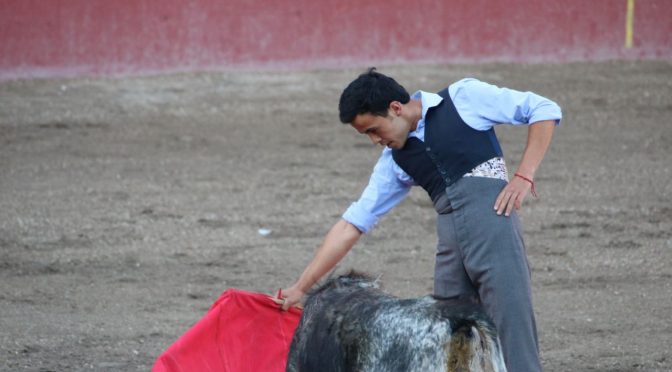 Tenexac, De Haro, Villanueva y Macías en penúltima tienta de feria