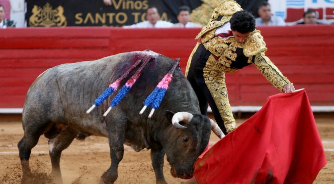 Jerónimo por Mónica Serrano en Teziutlán