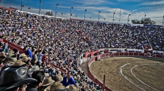 Definido el serial taurino para la Feria de León