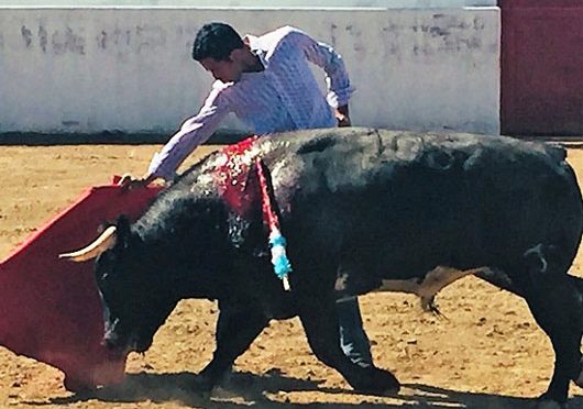 El hidrocálido Manuel Gutiérrez en plena preparación