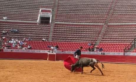 Realiza la primera prueba con vacas en La México