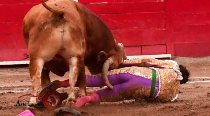 Arturo Macías sufre fuerte cornada en Aguascalientes..(Fotos/Video)