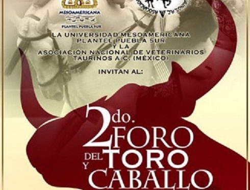 Realizarán foro el toro y el caballo en Puebla