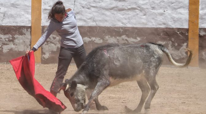 Hidrocálidos tientan en De Haro..(Fotos)