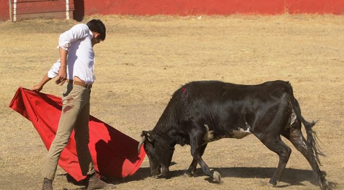 Intensa la  preparación de Sergio Flores en campo bravo