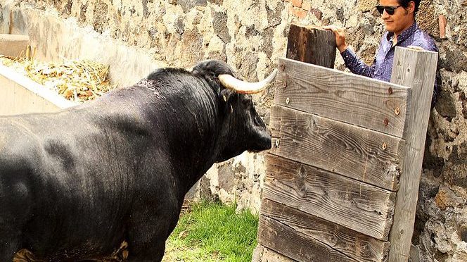 Angelino de Arriaga visita a “Taurino”