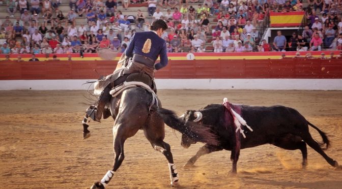 7 de 7 para Gamero…(Fotos)