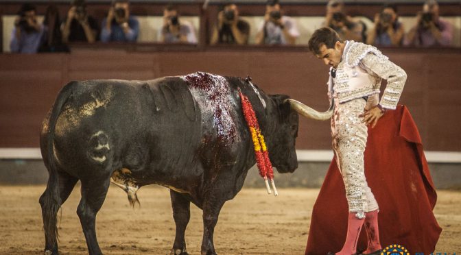 Arturo Macías realiza lo más destacado en Madrid…(Fotos)
