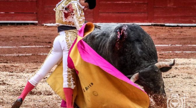 Luis David triunfa en la tercera de Zacatecas
