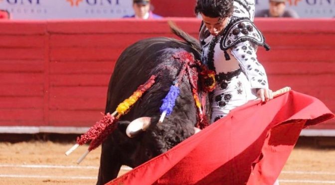 “El Galo” estable en hospital tras cornada en La México