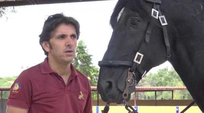 “México es un sueño”: Diego Ventura…(Video)