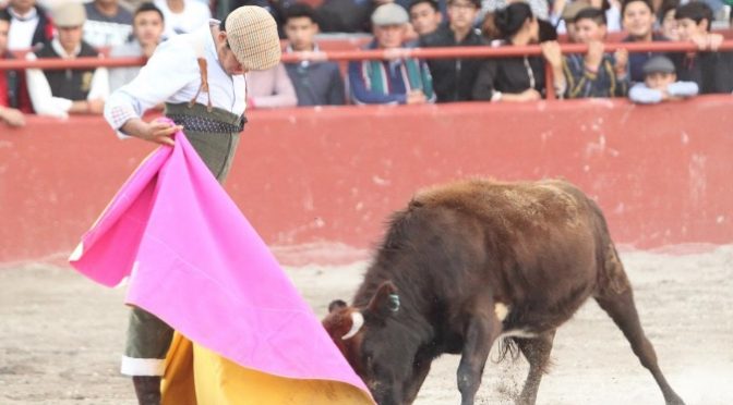 Tienta y novillada este viernes en la Jorge Aguilar “El Ranchero”