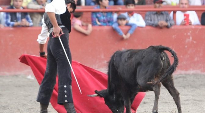 Con “sabor” la segunda tienta pública